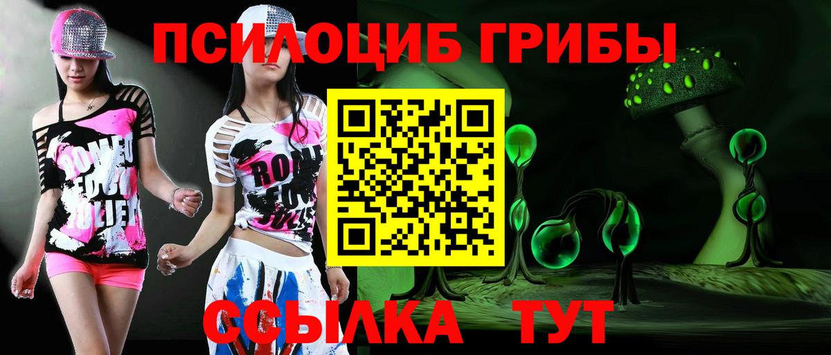 Галлюциногенные грибы Psilocybe  Вход с VPN  Псилоцибиновые грибы MAGIC MUSHROOMS  Озёры 